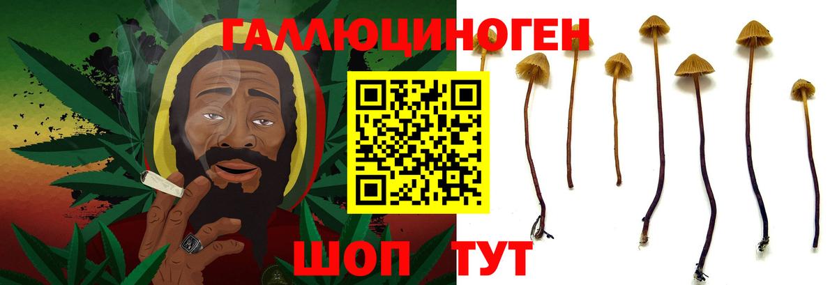 Псилоцибиновые грибы ЛСД Мичуринск