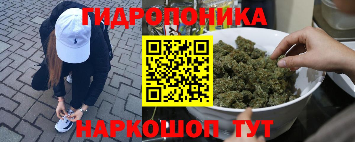 Конопля AK-47 Мичуринск